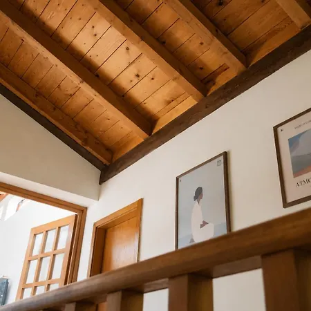 Nora Kastela